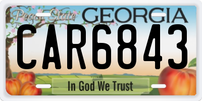 GA license plate CAR6843