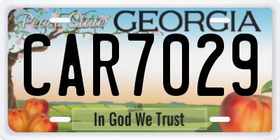 GA license plate CAR7029