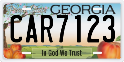 GA license plate CAR7123