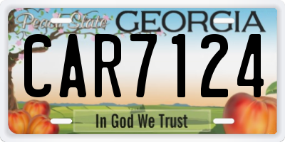 GA license plate CAR7124