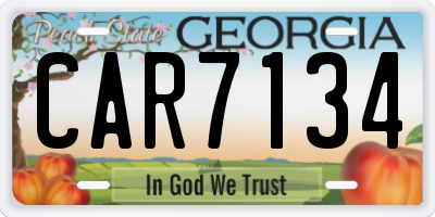 GA license plate CAR7134