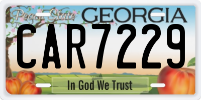 GA license plate CAR7229