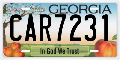 GA license plate CAR7231