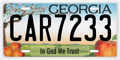 GA license plate CAR7233