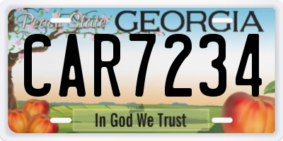 GA license plate CAR7234