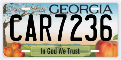 GA license plate CAR7236