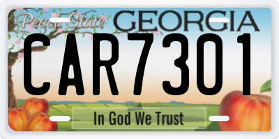 GA license plate CAR7301