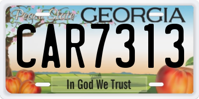 GA license plate CAR7313