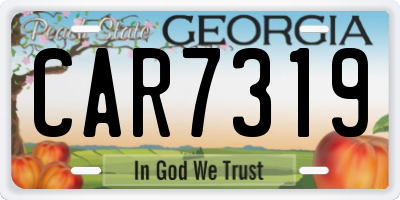 GA license plate CAR7319