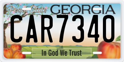 GA license plate CAR7340