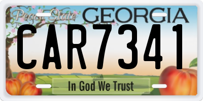 GA license plate CAR7341