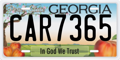 GA license plate CAR7365