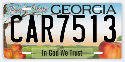 GA license plate CAR7513