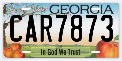 GA license plate CAR7873