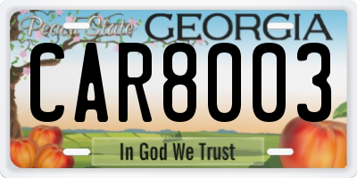 GA license plate CAR8003