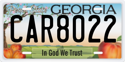 GA license plate CAR8022