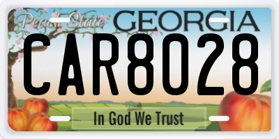 GA license plate CAR8028