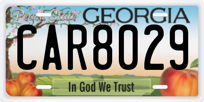 GA license plate CAR8029