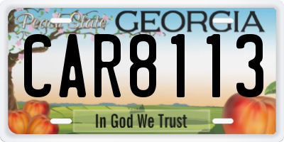 GA license plate CAR8113