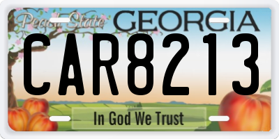 GA license plate CAR8213