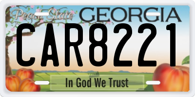 GA license plate CAR8221