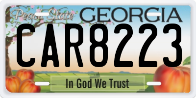 GA license plate CAR8223