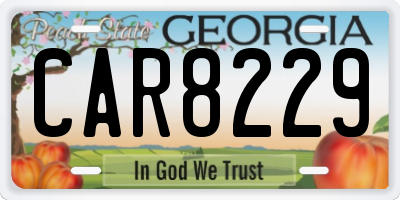 GA license plate CAR8229