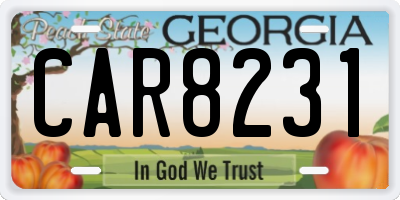 GA license plate CAR8231