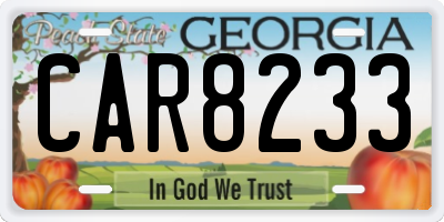 GA license plate CAR8233