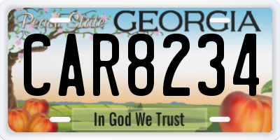 GA license plate CAR8234