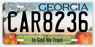 GA license plate CAR8236