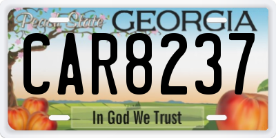 GA license plate CAR8237