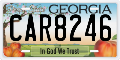 GA license plate CAR8246