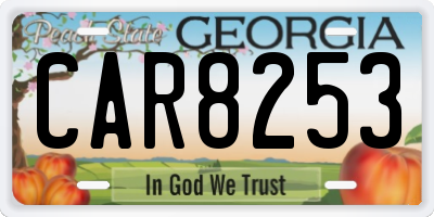 GA license plate CAR8253