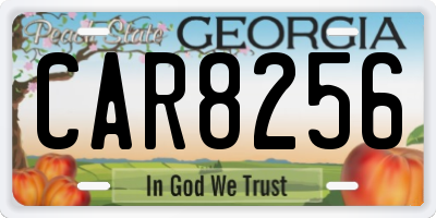 GA license plate CAR8256