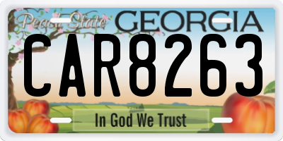 GA license plate CAR8263