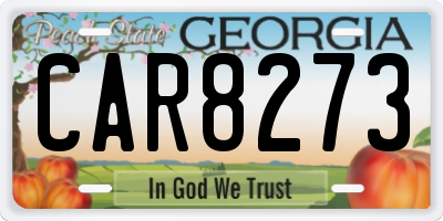 GA license plate CAR8273