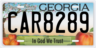 GA license plate CAR8289