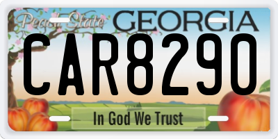 GA license plate CAR8290