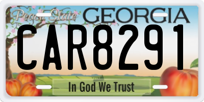 GA license plate CAR8291