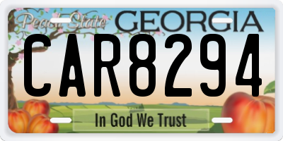 GA license plate CAR8294