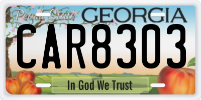 GA license plate CAR8303