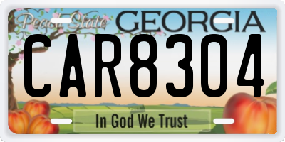 GA license plate CAR8304