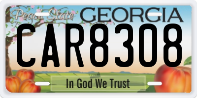 GA license plate CAR8308