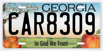 GA license plate CAR8309