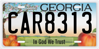 GA license plate CAR8313