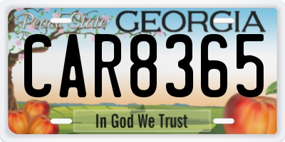 GA license plate CAR8365