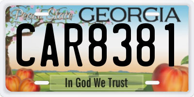 GA license plate CAR8381