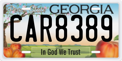 GA license plate CAR8389