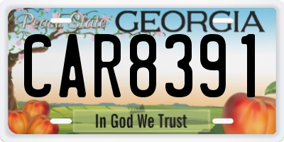 GA license plate CAR8391